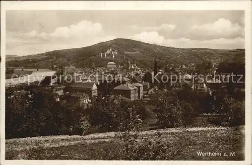 Wertheim Main Panorama Burg Kat. Wertheim