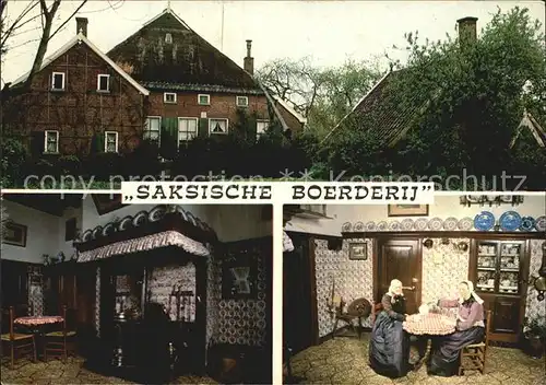 Borculo Saksische Boerderij Kat. Niederlande