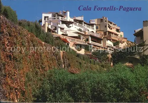 Paguera Mallorca Islas Baleares Cala Fornells Hotel Kat. Calvia