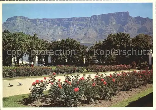 Cape Town Kaapstad Kapstadt Gardens Kat. Cape Town