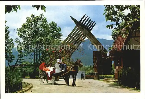 Pferdekutschen Entrance of Laddaland Park Chiengmai North Thailand  Kat. Tiere