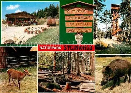 Pfaben Naturpark Steinwald Berggasthof Wegweiser Aussichtsturm Wild Kat. Erbendorf
