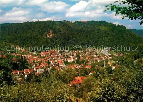 Bad Liebenzell Panorama mit Burg Liebenzell Kat. Bad Liebenzell