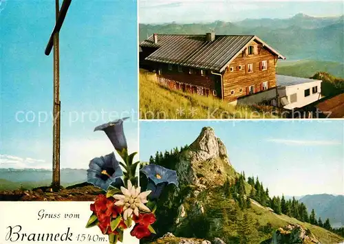 Brauneck Gipfelhaus Gipfelkreuz Alpenflora Felsen Kat. Lenggries