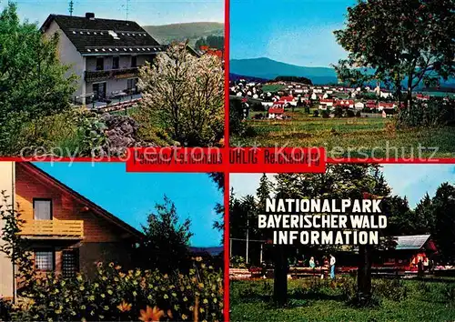 Reichenberg Riedlhuette Pension Uhlig Panorama Nationalpark Bayer Wald Kat. Sankt Oswald Riedlhuette
