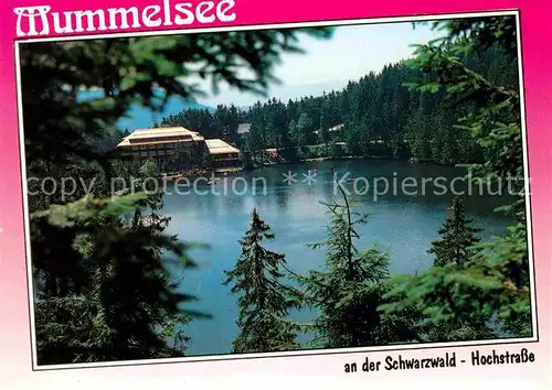 Mummelsee Berghotel Mummelsee Kat. Seebach