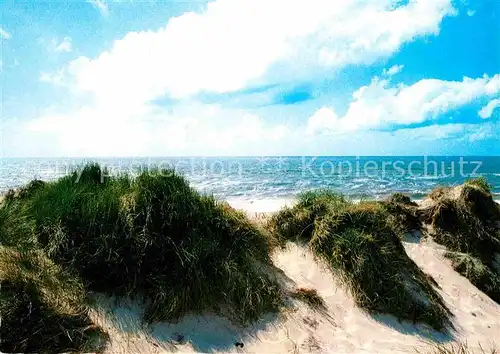 Insel Sylt Duenenausblick Kat. Westerland