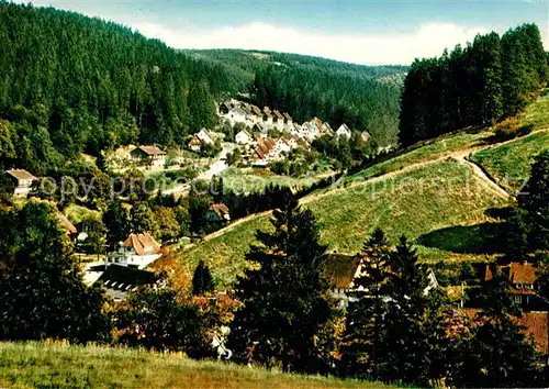 Altenau Harz Bornkappe Panorama Kat. Altenau