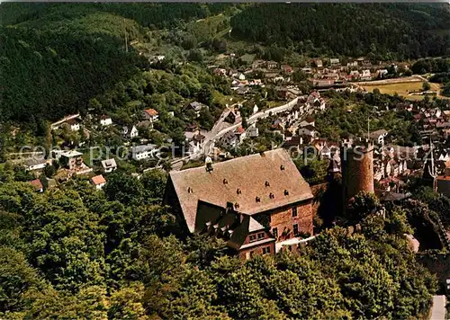Biedenkopf Schloss Luftbild Kat. Biedenkopf