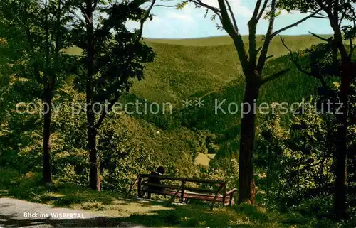 Nauroth Heidenrod Wispertal Panorama Kat. Heidenrod