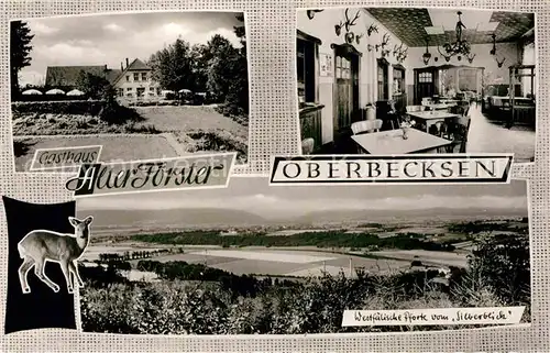 Oberbecksen Gasthaus Alter Foerster Westfaelische Pforte vom Silberblick Kat. Bad Oeynhausen