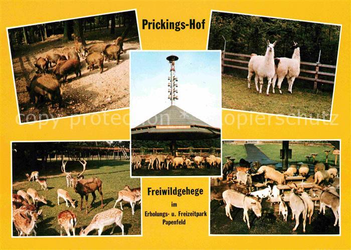 Sythen Fliegeraufnahme Prickings Hof Kat. Haltern am See Nr. kv50176 oldthing Ansichtskarten Sythen Fliegeraufnahme Prickings Hof Kat. Haltern am See Nr. kv50176 oldthing Ansichtskarten