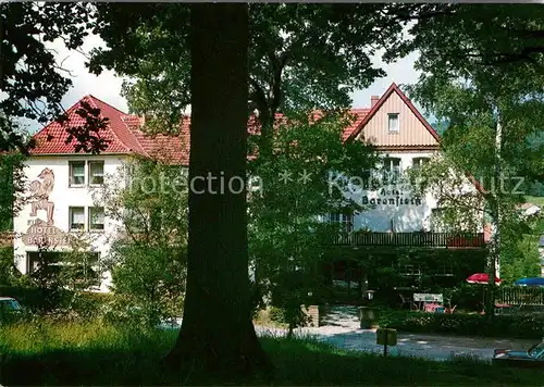 Horn Bad Meinberg Kurhotel Baerenstein  Kat. Horn Bad Meinberg