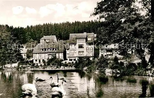 Neuhaus Solling Teich Schwaene Fachwerk Kat. Holzminden