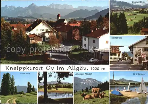 Oy Gesamtansicht Moorweg Alpvieh Gruentensee Dorfstrasse Daumenblick Kat. Oy Mittelberg