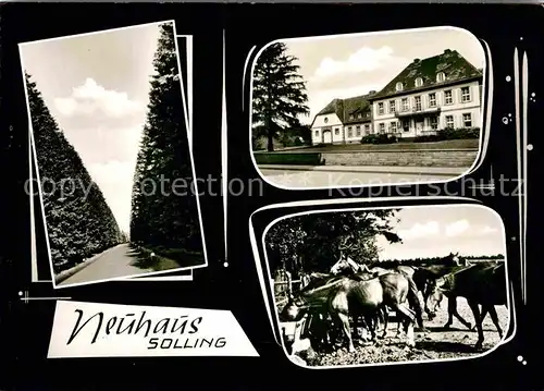 Neuhaus Solling Ansichten Kat. Holzminden