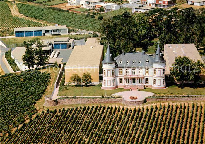 Johannisberg Rheingau Schloss Hansenberg Katastrophenschutzschule Kat Geisenheim Nr De152 Oldthing Ansichtskarten Hessen