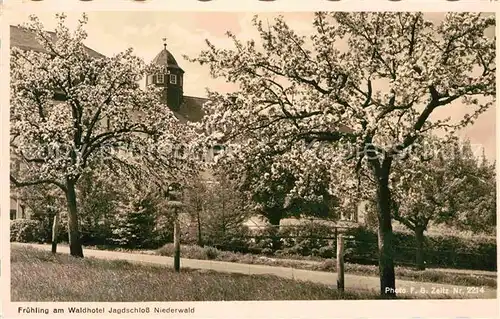 Ruedesheim Rhein Waldhotel Jagdschloss Niederwald Fruehling Kat. Ruedesheim am Rhein