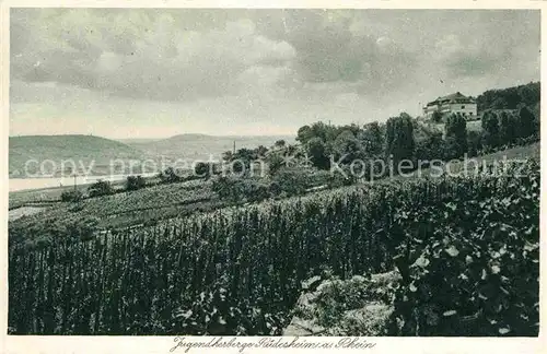 Ruedesheim Rhein Jugendherberge Weinberge Kat. Ruedesheim am Rhein