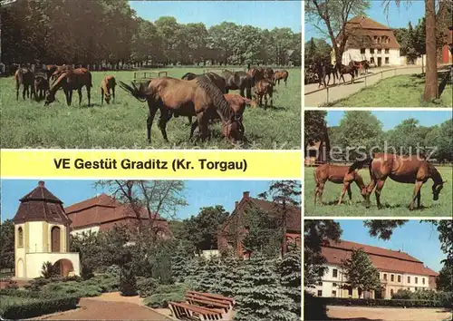 Graditz VE Gestuet Kat. Torgau