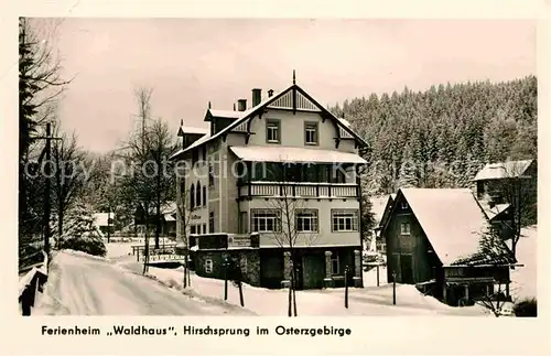 Hirschsprung Ferienheim Waldhaus Kat. Altenberg