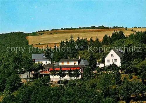 Presberg Rheingau Gaststaette Rheingauer Alp Sonnenterrasse Luftaufnahme Kat. Ruedesheim am Rhein