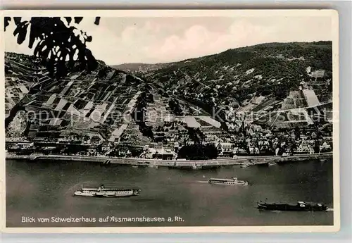 Assmannshausen Rhein Schweizerhaus Panorama Kat. Ruedesheim am Rhein