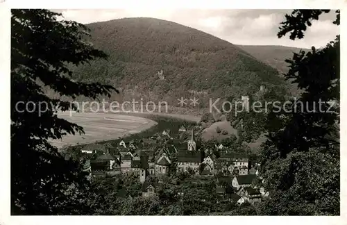 Neckarsteinach Panorama Kat. Neckarsteinach