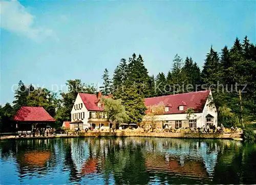 Leopoldstal Lippe Waldhotel Silbermuehle Kat. Horn Bad Meinberg