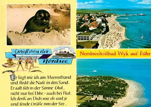 Wyk Foehr Robbe Strand Luftaufnahme Kat. Wyk auf Foehr