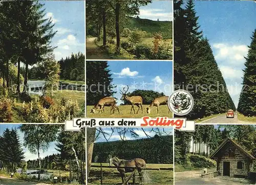 Schoenhagen Solling Landschaftsbilder Wild Pferd Wald Huette Kat. Uslar