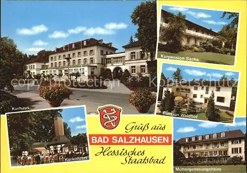 Bad Salzhausen Kurhaus Kurkonzert Muettergenesungsheim Pension Waldhof Kat. Nidda