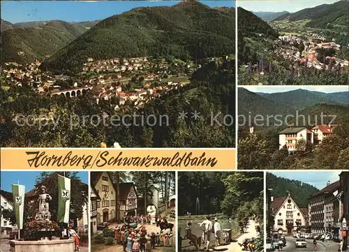 Hornberg Schwarzwald Gesamtansicht Brunnen Park Weiher Kat. Hornberg