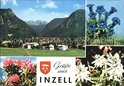 Inzell Panorama Blumenbilder  Kat. Inzell