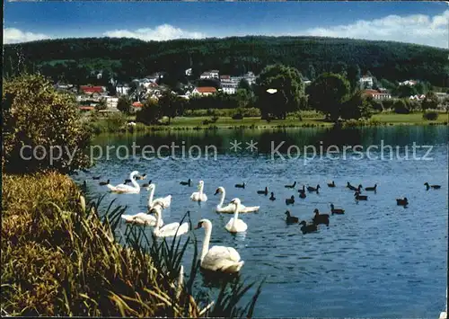 Bad Koenig Odenwald Partie im neuen Kurpark Kat. Bad Koenig