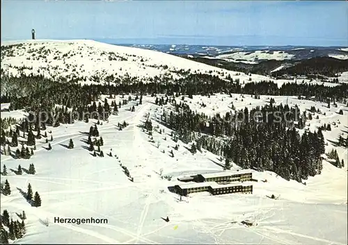 Herzogenhorn Fliegeraufnahme Kat. Feldberg (Schwarzwald)
