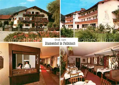 Feilnbach Blumenhof Heilbad Kat. Bayrischzell