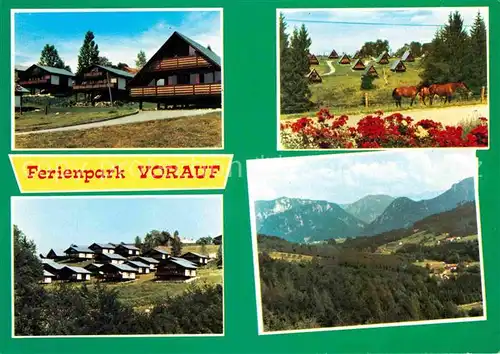 Siegsdorf Oberbayern Ferienpark Vorauf Kat. Siegsdorf