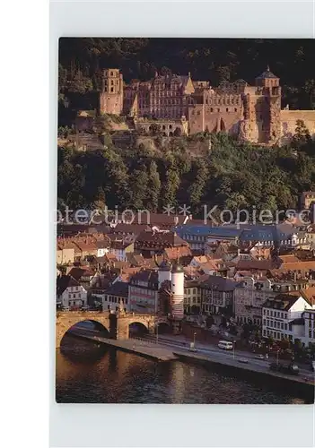 Heidelberg Neckar Blick vom Philosophenweg  Kat. Heidelberg