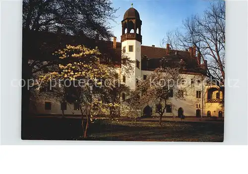 Wittenberg Lutherstadt Lutherhaus Kat. Wittenberg