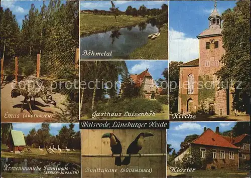 Walsrode Lueneburger Heide Emus Kronenkraniche Bunttukane Boehmetal Gasthaus Luisenhoeh Kirche Kloster Kat. Walsrode