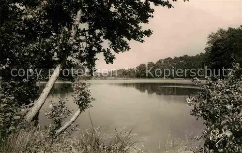 Pontenx les Forges Echappee sur Etang des Forges  Kat. Pontenx les Forges