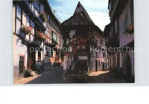 Eguisheim Haut Rhin Elsaesserhaeuser Kat. Eguisheim