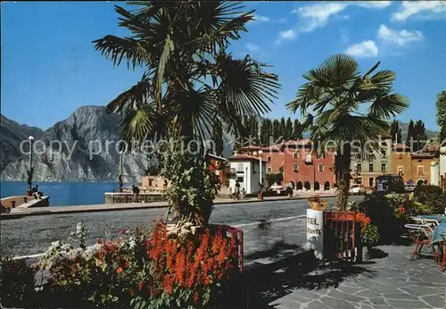 Torbole Lago di Garda Promenade Kat. Italien