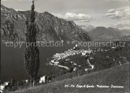 Malcesine Lago di Garda Panorama Gardasee Alpen Kat. Malcesine