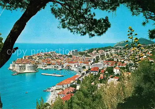 Dubrovnik Ragusa Panorama Kat. Dubrovnik