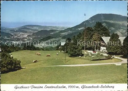 Glasenbach Elsbethen Gasthaus Pension Erentrudisalm