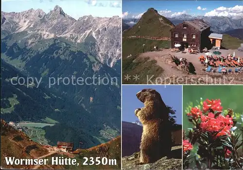 Wormserhuette Tier Blume  Kat. Tschagguns Vorarlberg