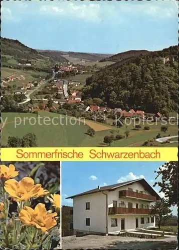 Schwarzenbach Pielach Haus Bucheneck  Kat. Schwarzenbach an der Pielach