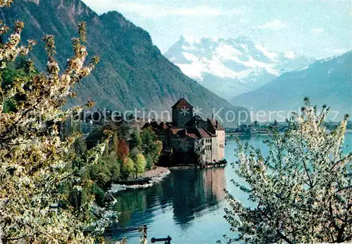 Lac Leman Genfersee Chateau de Chillon et les Dents du Midi Kat. Genf